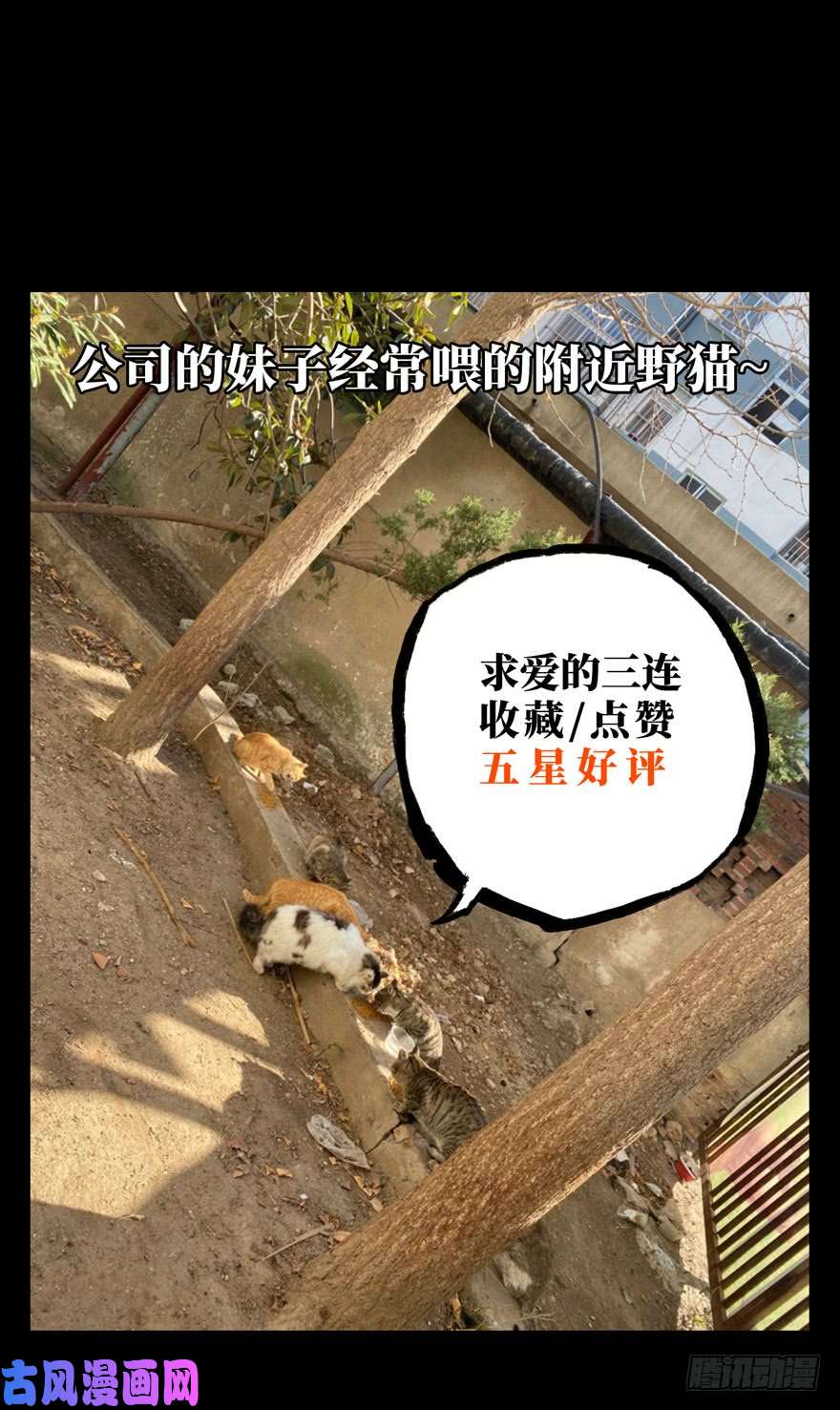 大象无形第四十一话/看门者上