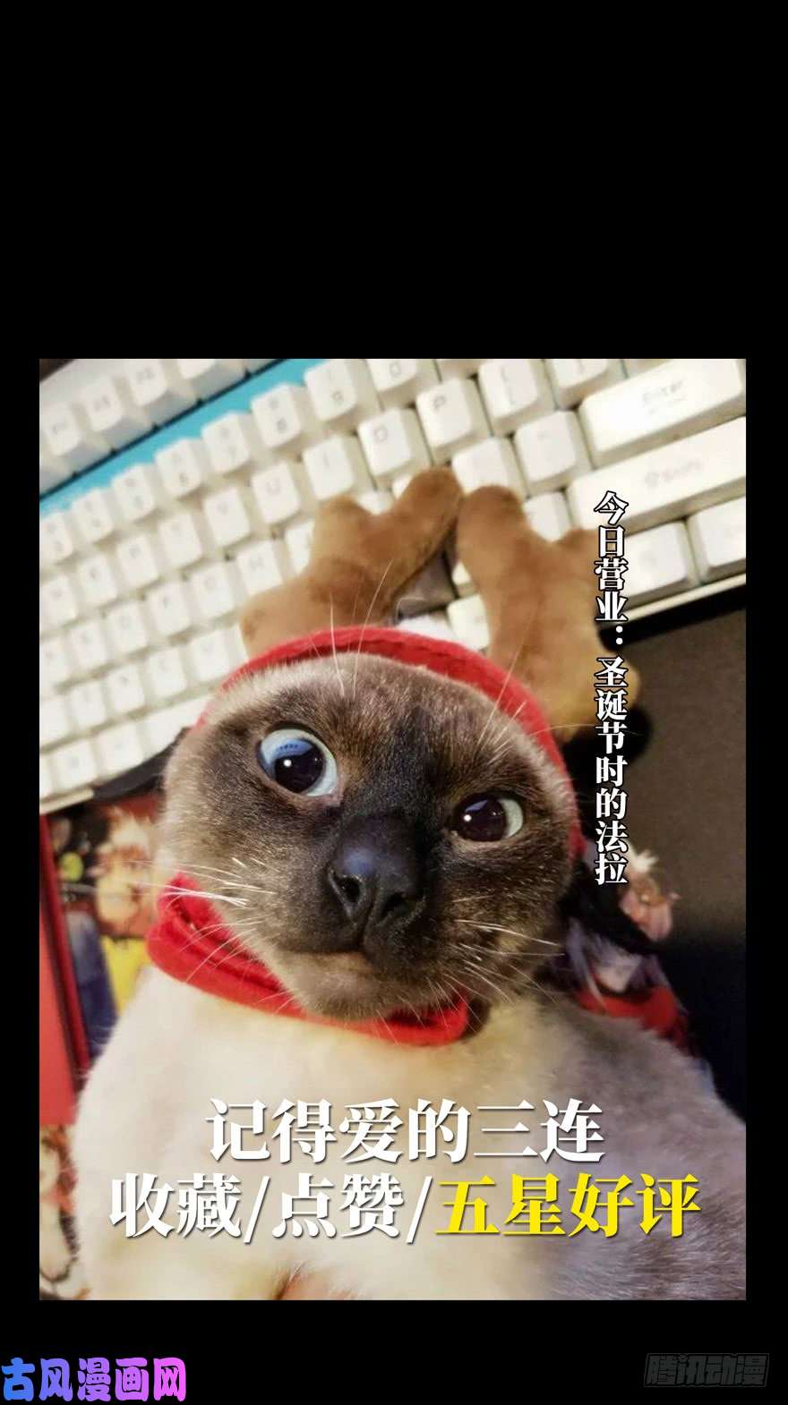 大象无形第四十四话/悲剧上