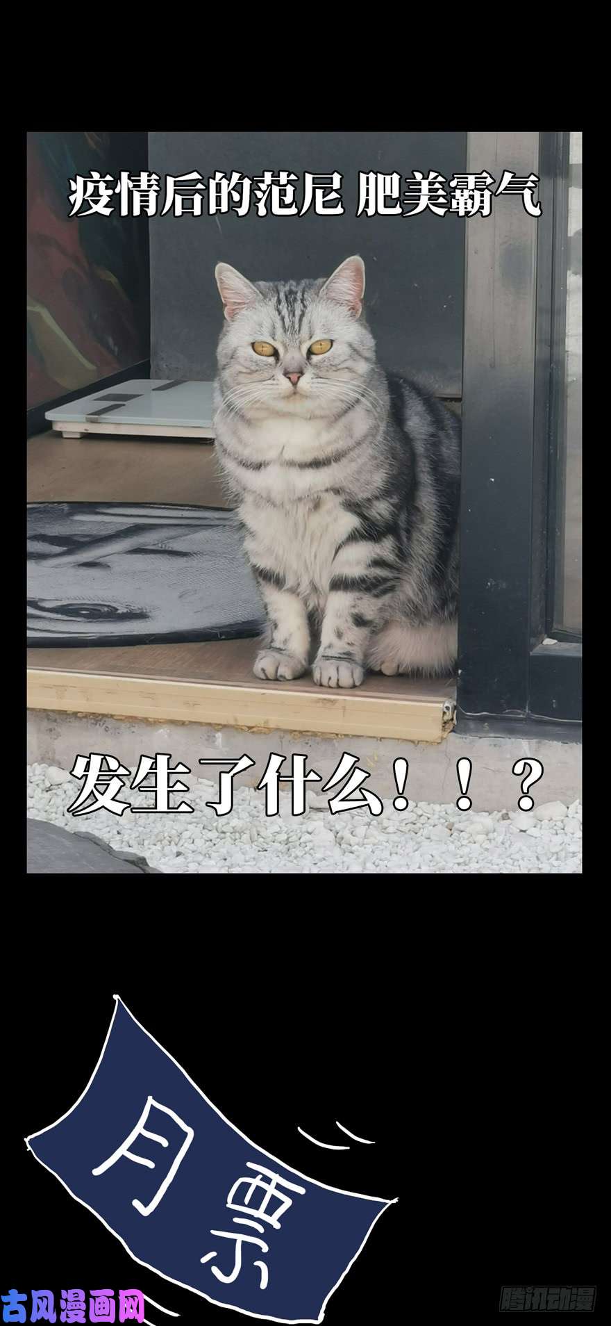 大象无形第四十六话/悲剧下