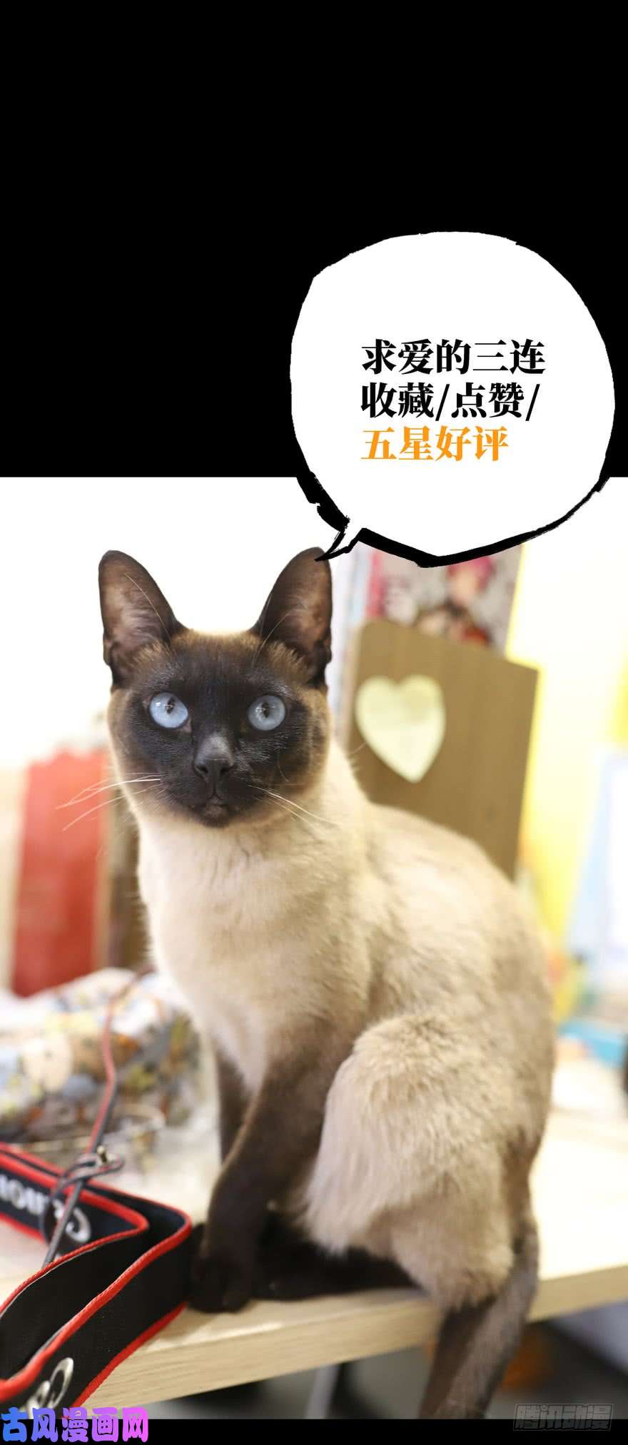 大象无形第四十九话/恶意下