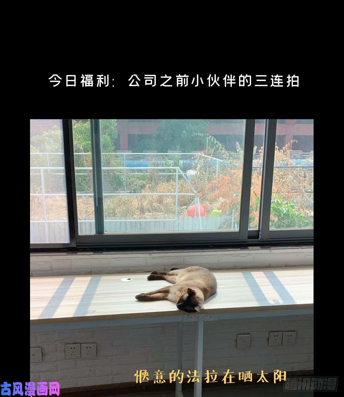 大象无形第五十四话/方仙术士下