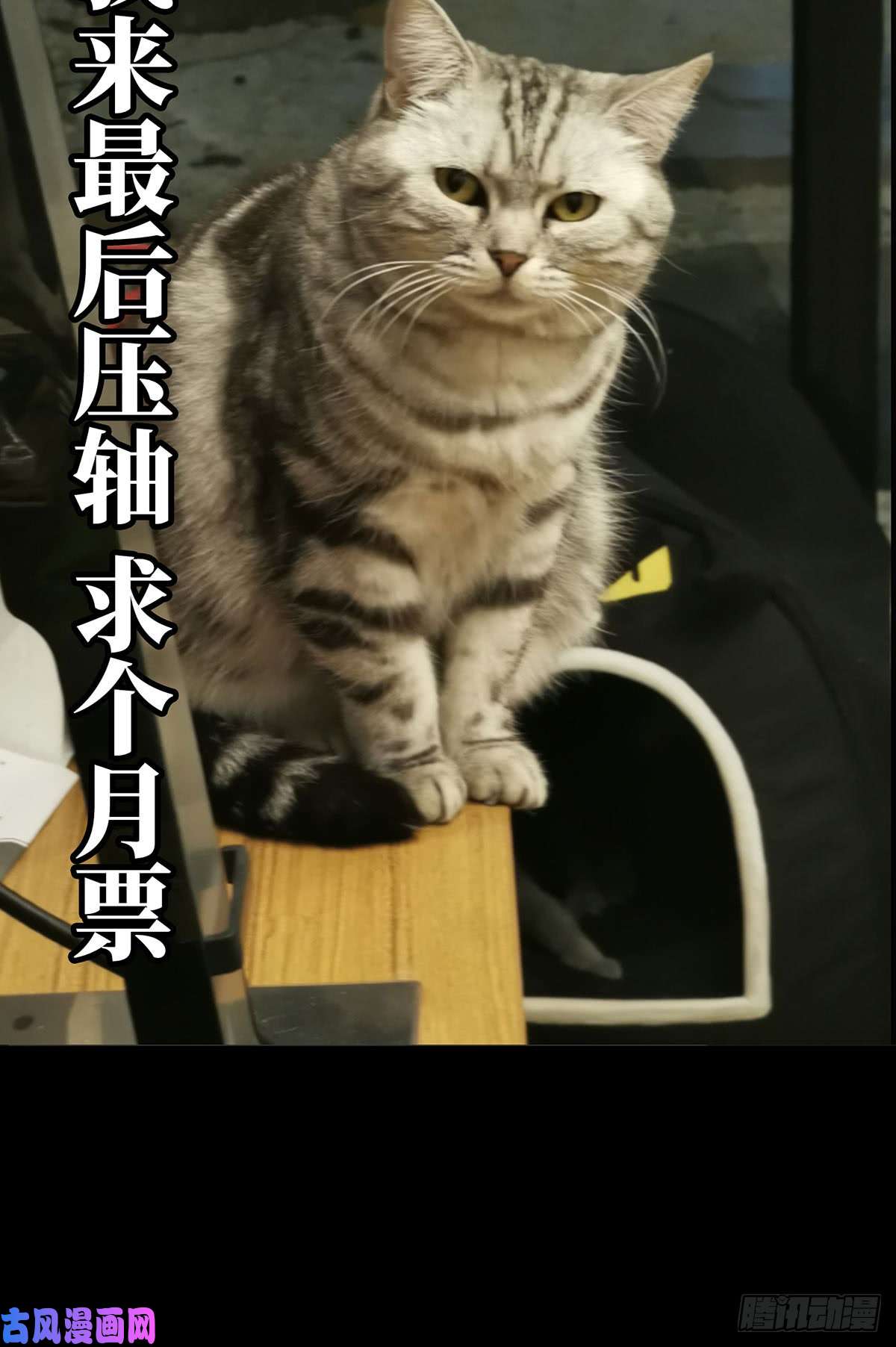 大象无形第五十四话/方仙术士下