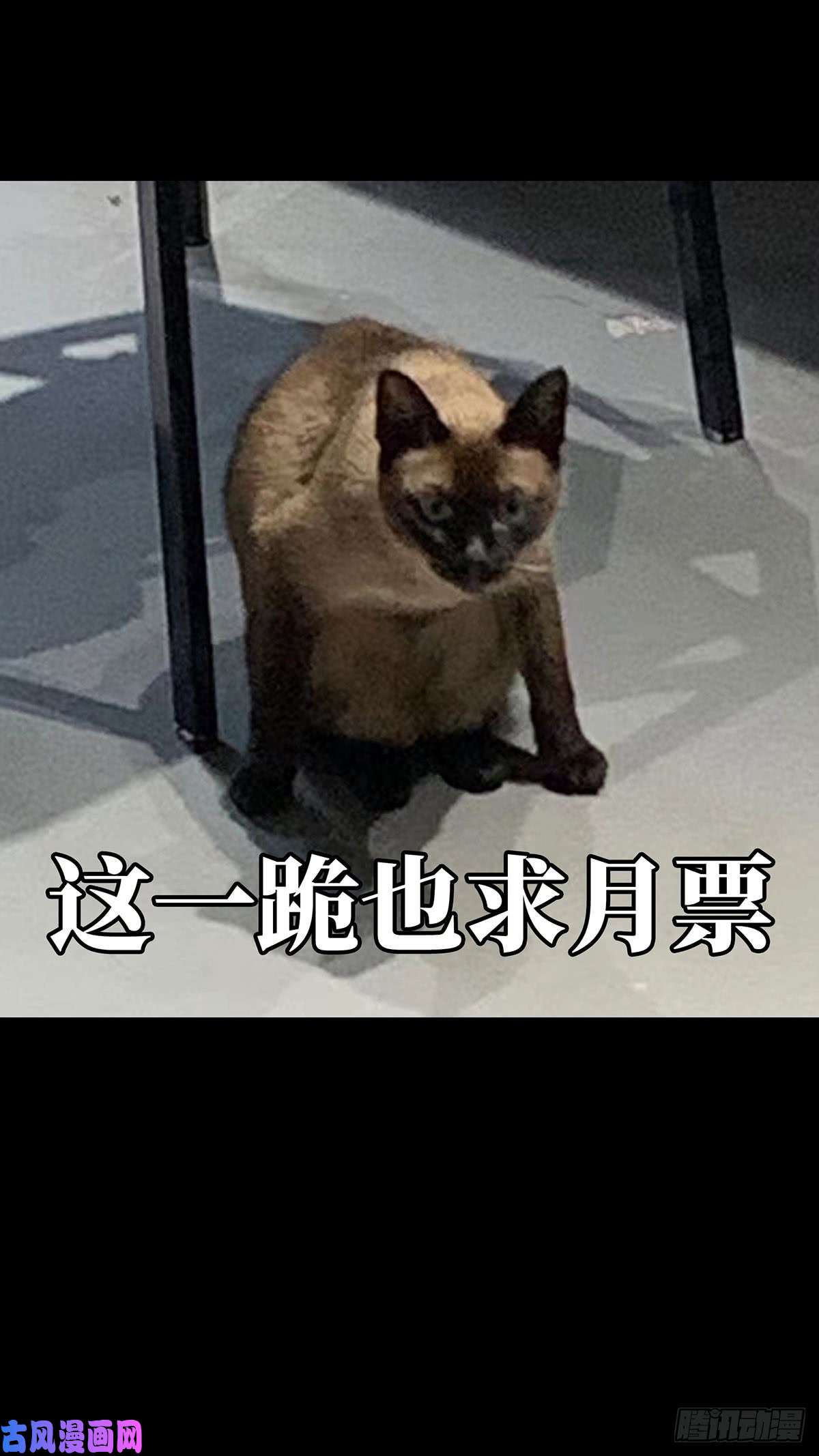 大象无形第五十六话/家上