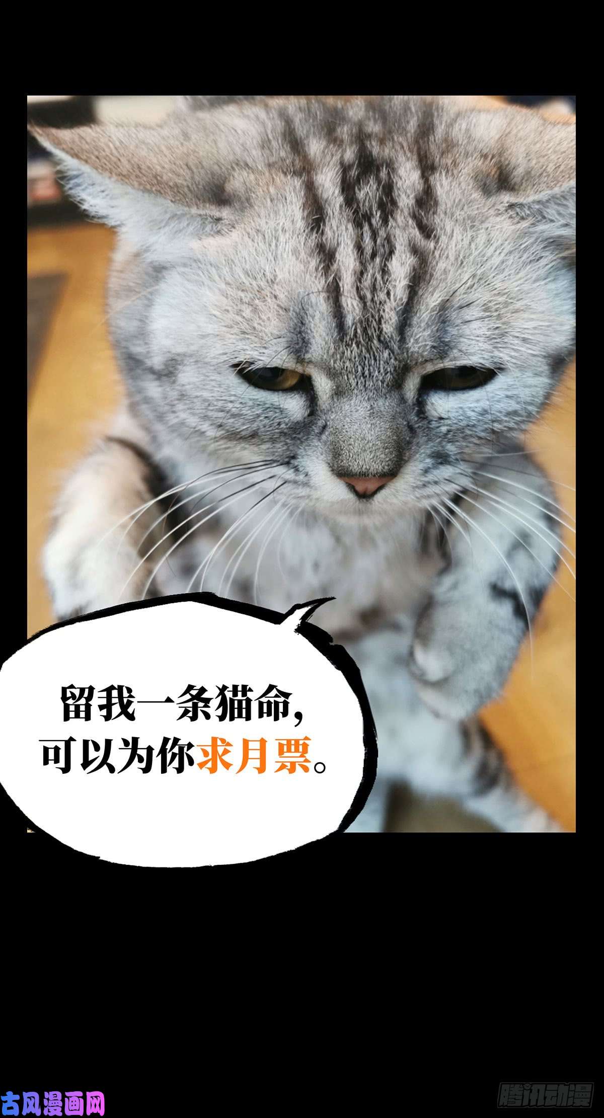 大象无形第六十一话/信任下