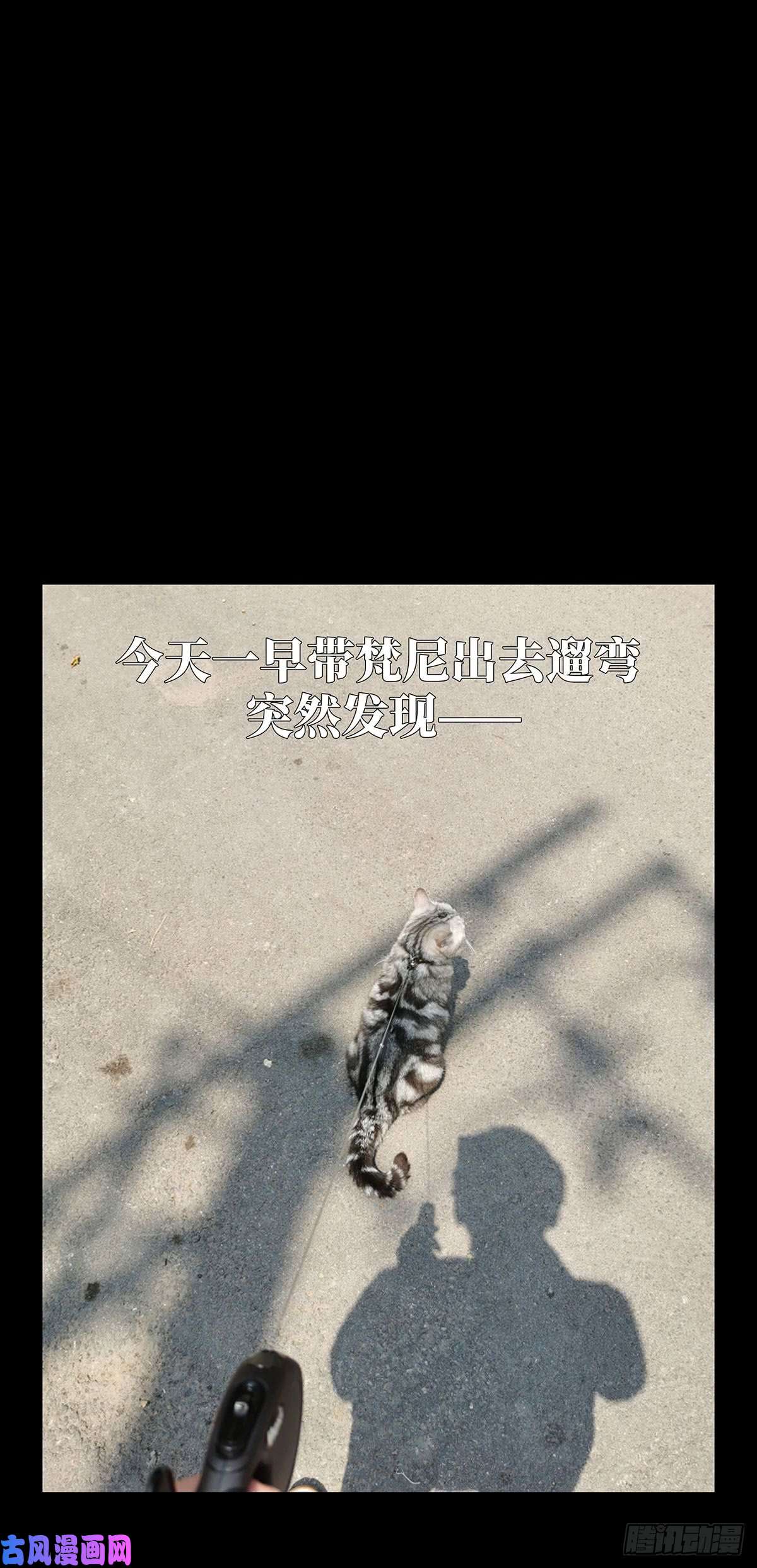 大象无形第六十一二话/刀与盾