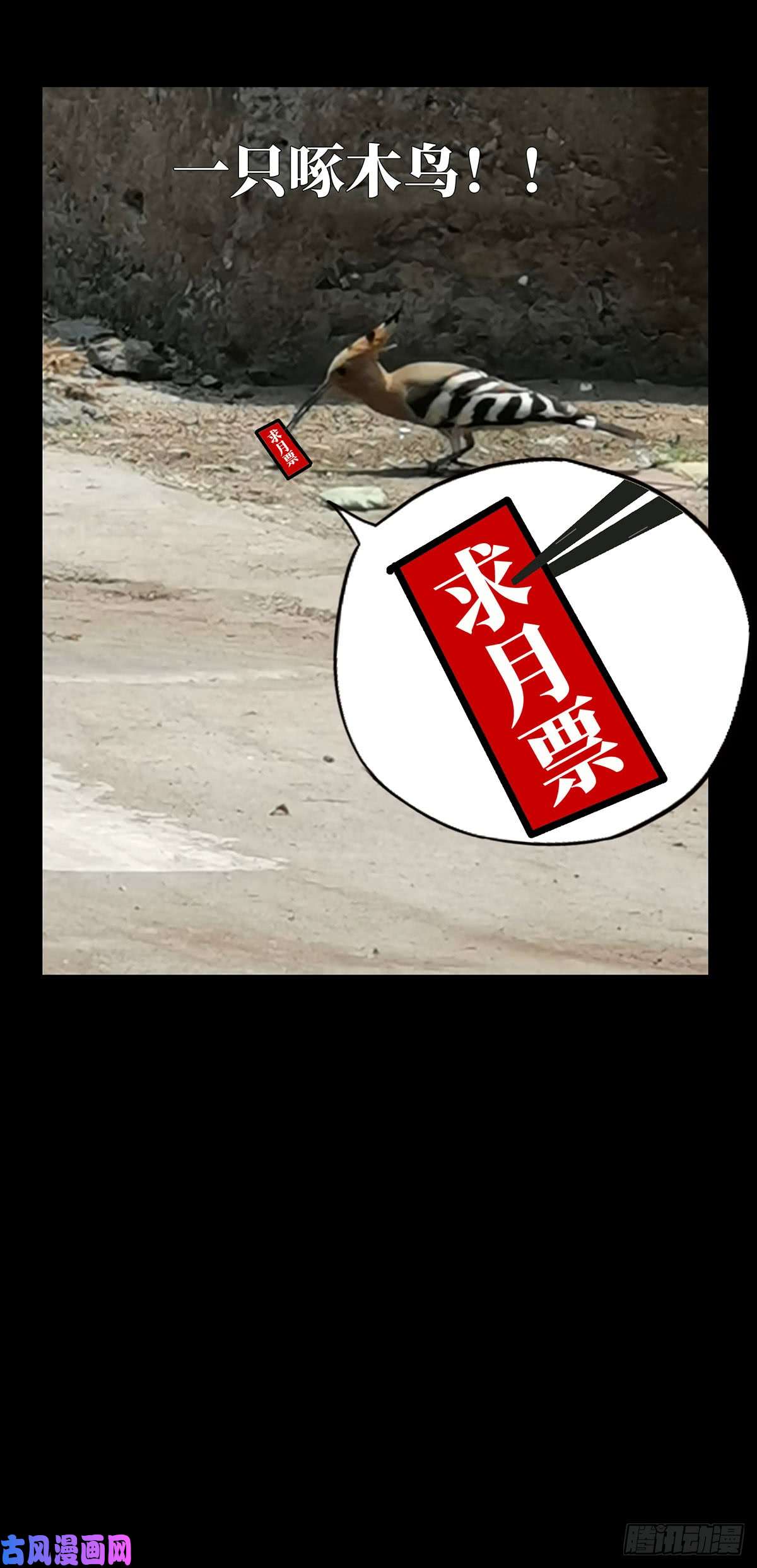 大象无形第六十一二话/刀与盾
