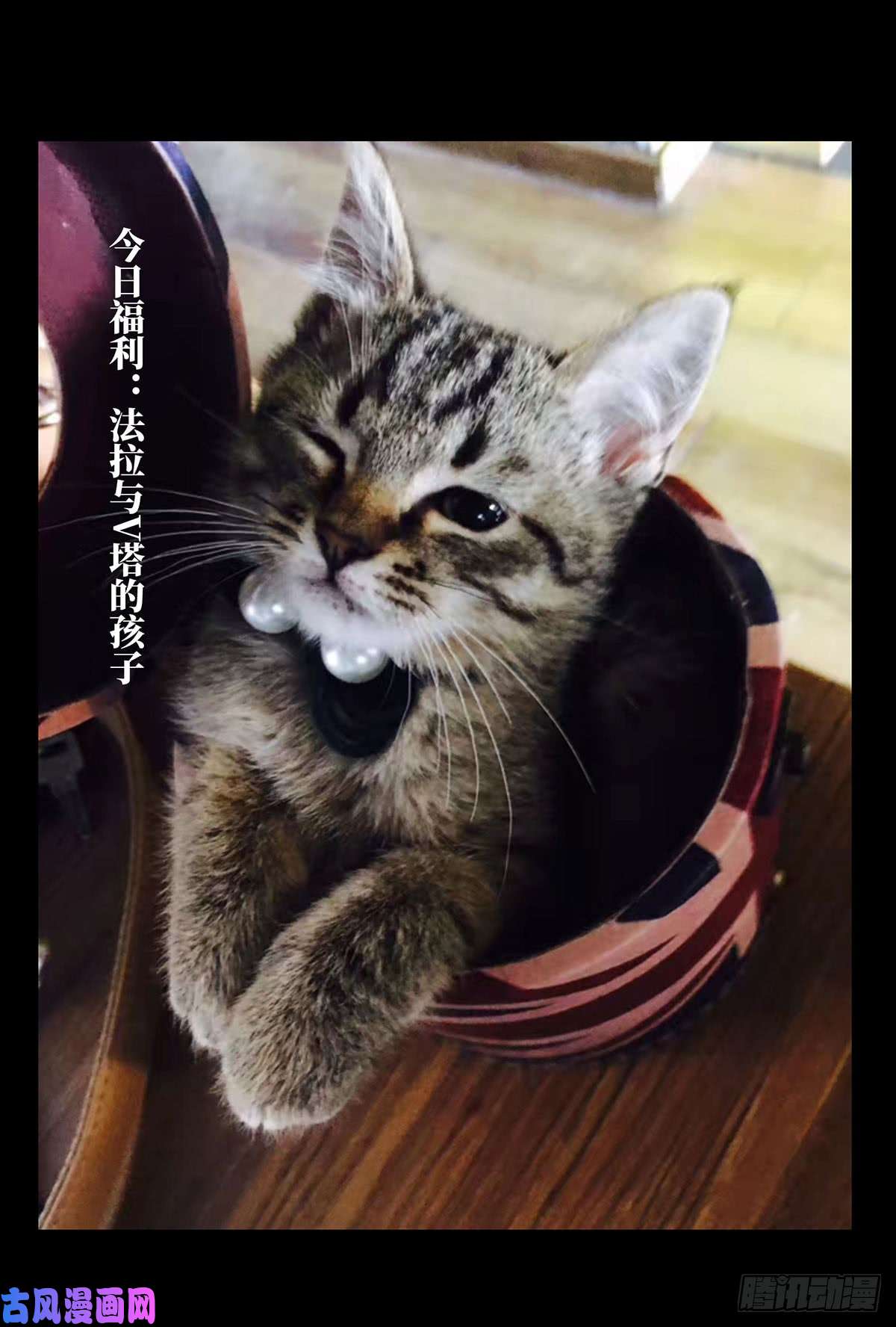 大象无形第六十一三话/刀与盾中