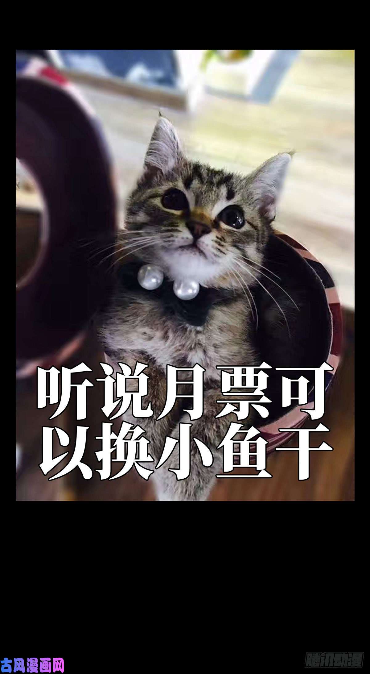 大象无形第六十一三话/刀与盾中