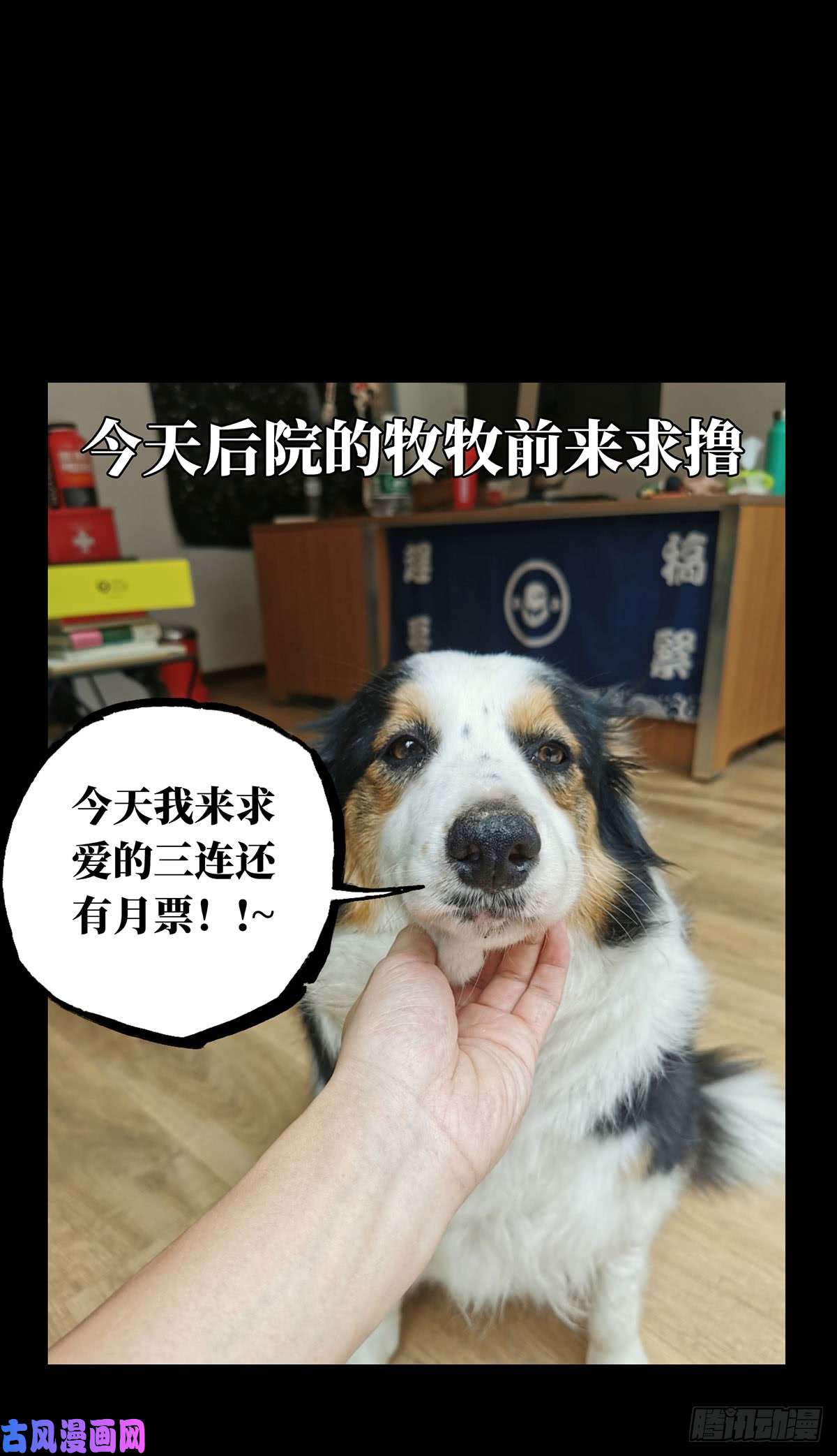 大象无形第六十一四话/刀与盾下