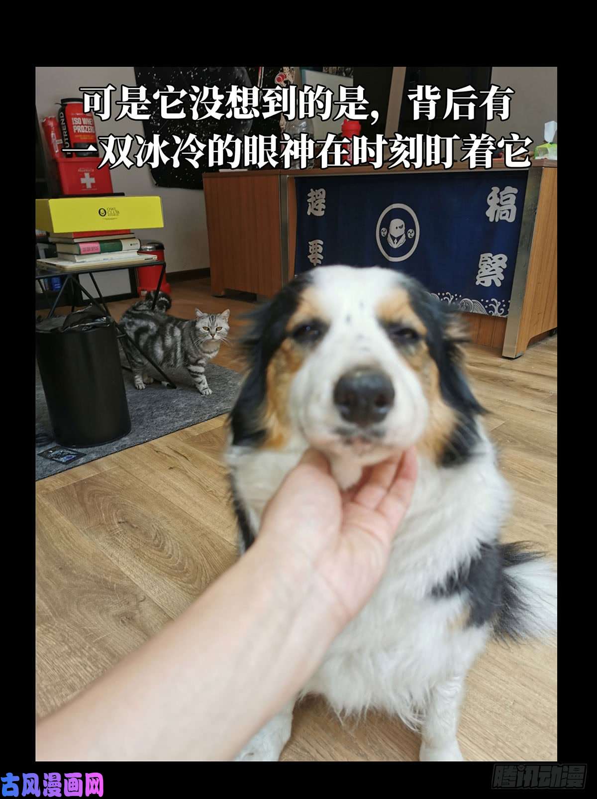 大象无形第六十一四话/刀与盾下