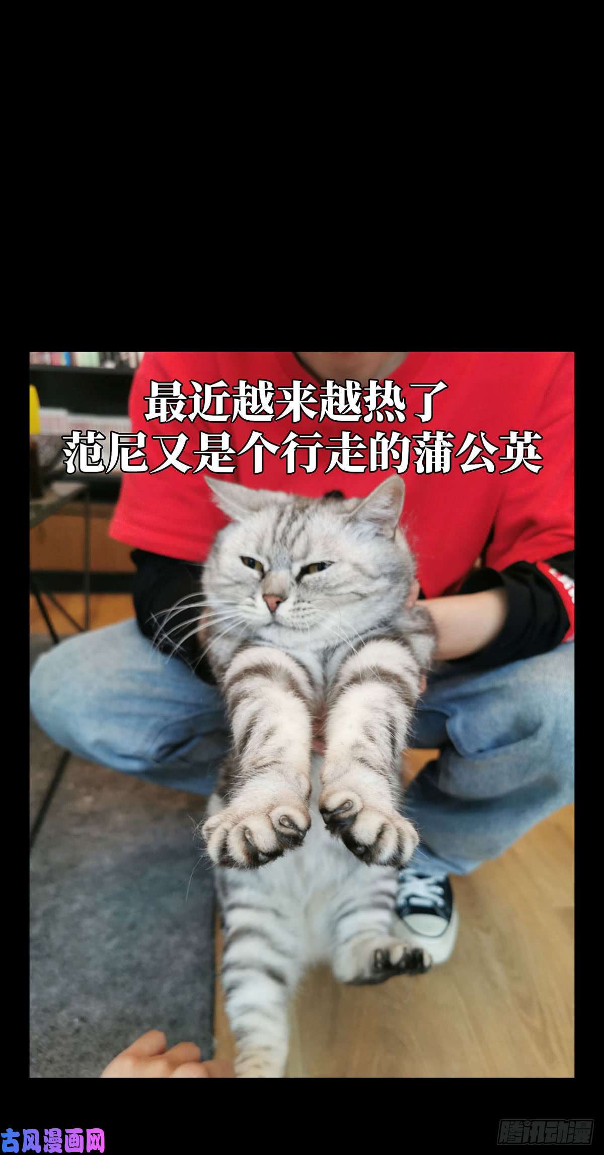 大象无形第六十五话/病态上