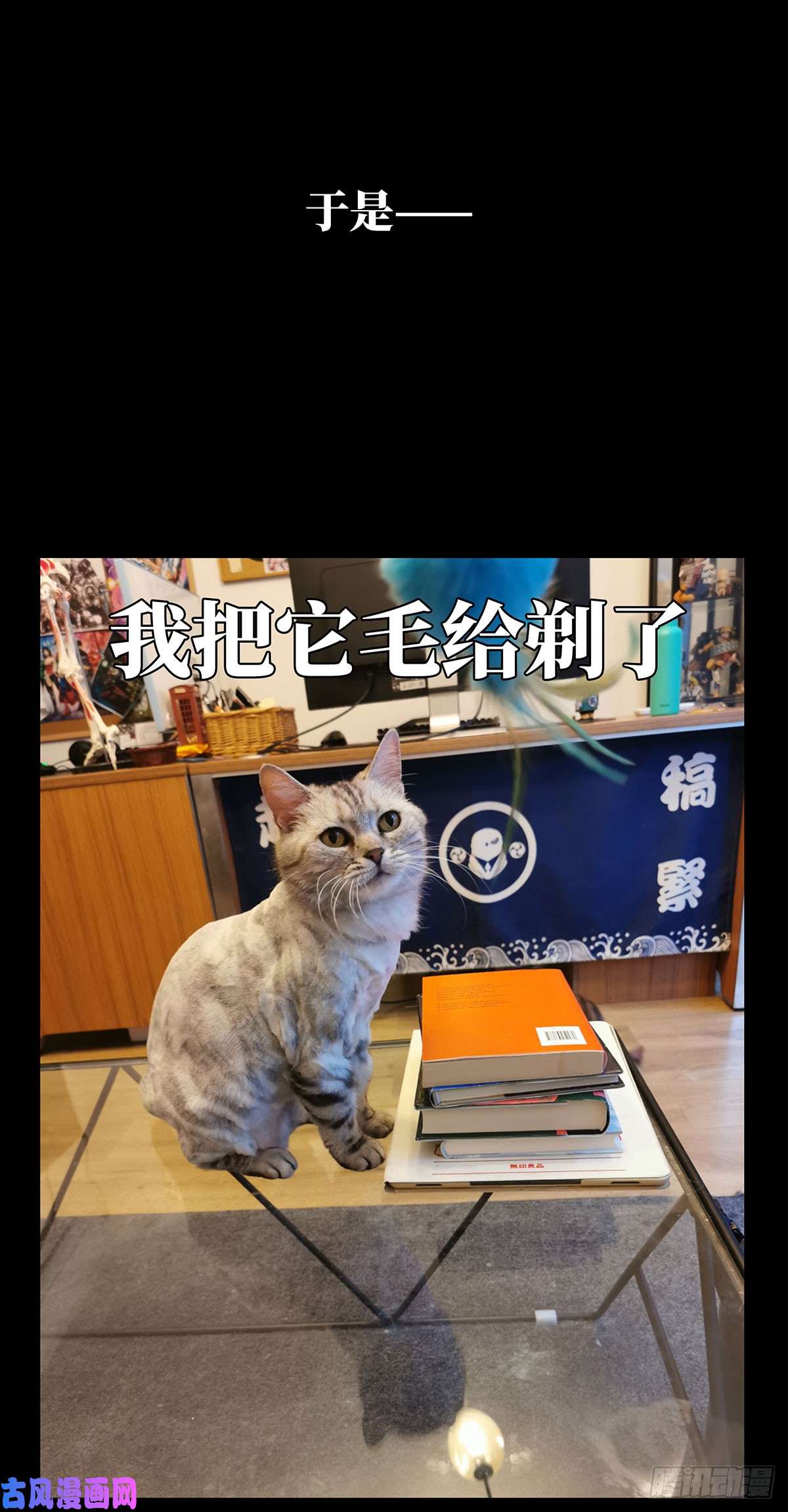 大象无形第六十五话/病态上
