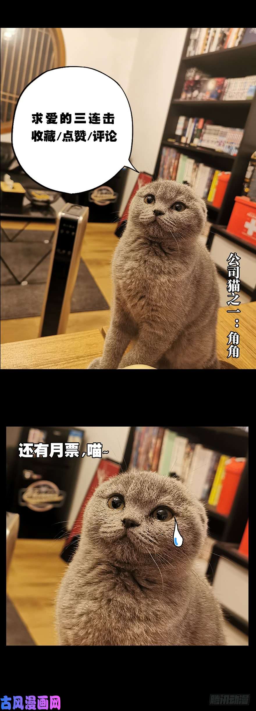 大象无形第十四话番天世界上