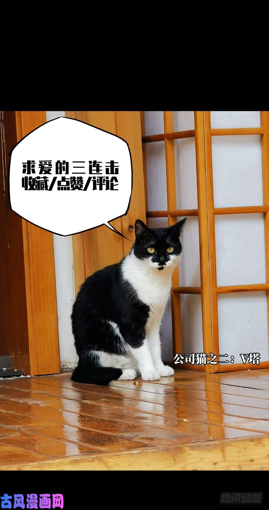 大象无形第十四话番天世界中