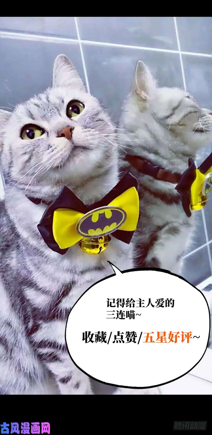 大象无形第二十九话加入上