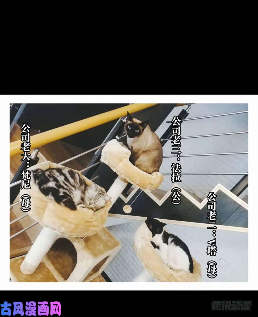 大象无形第三十五话考验上