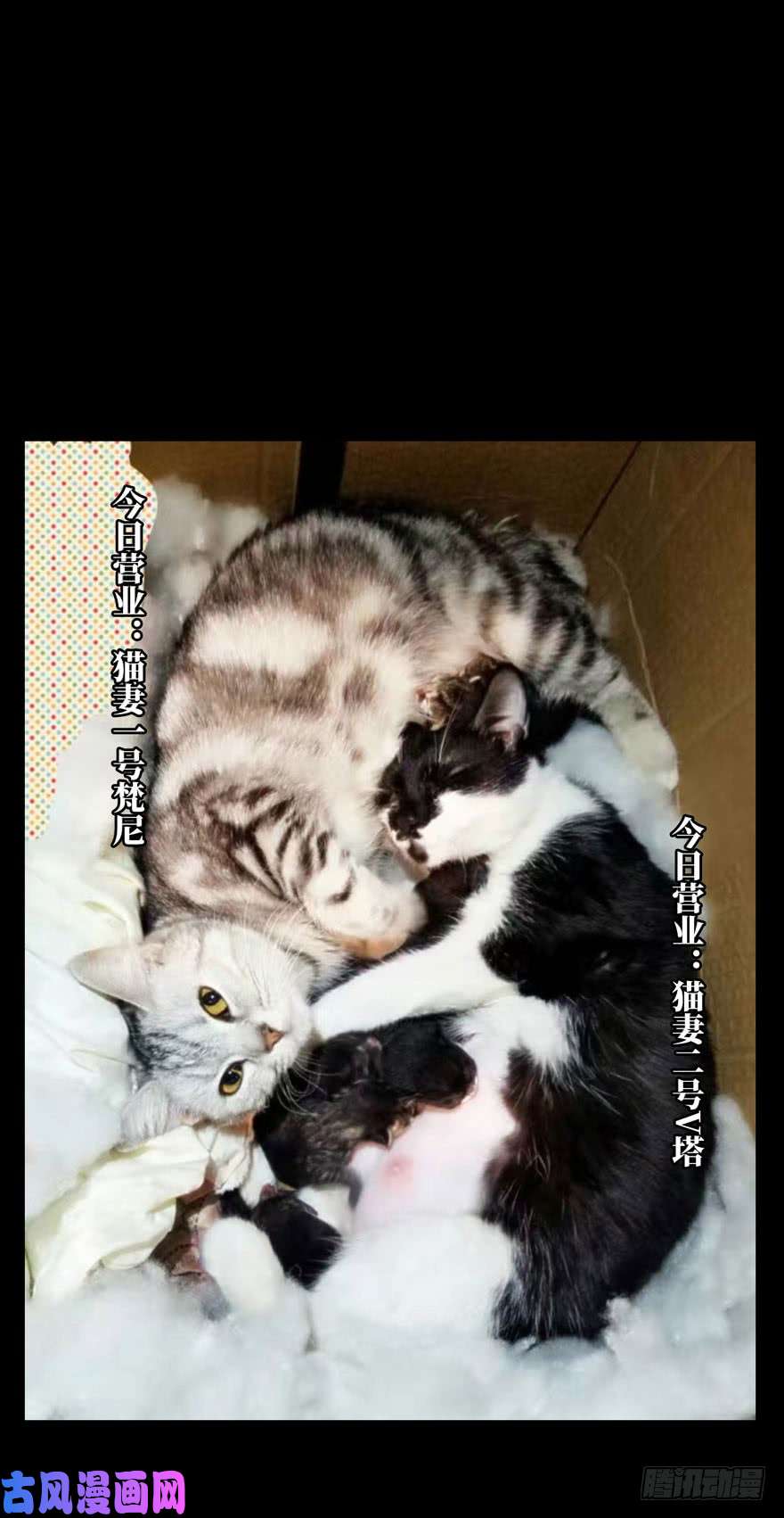 大象无形第三十八话洗砚古宅上