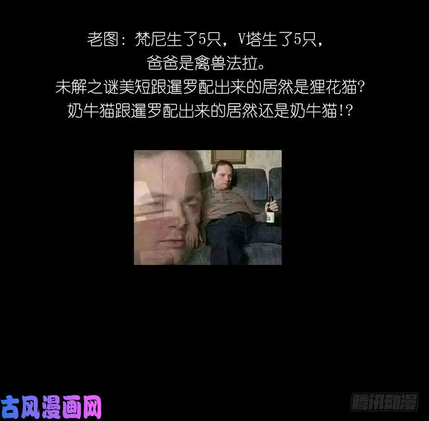 大象无形第三十八话洗砚古宅上