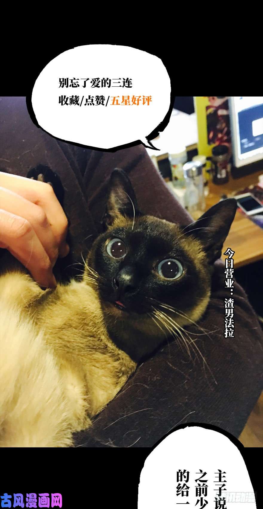 大象无形第四十一话看门者中