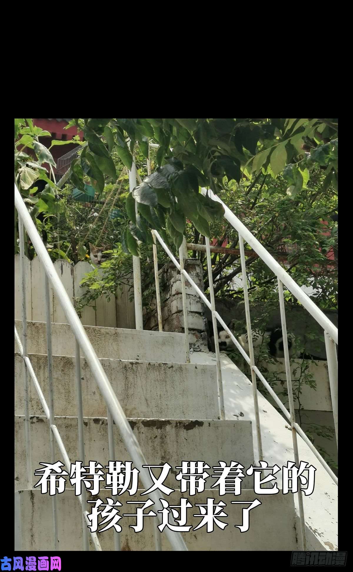 大象无形第六十六话病态中