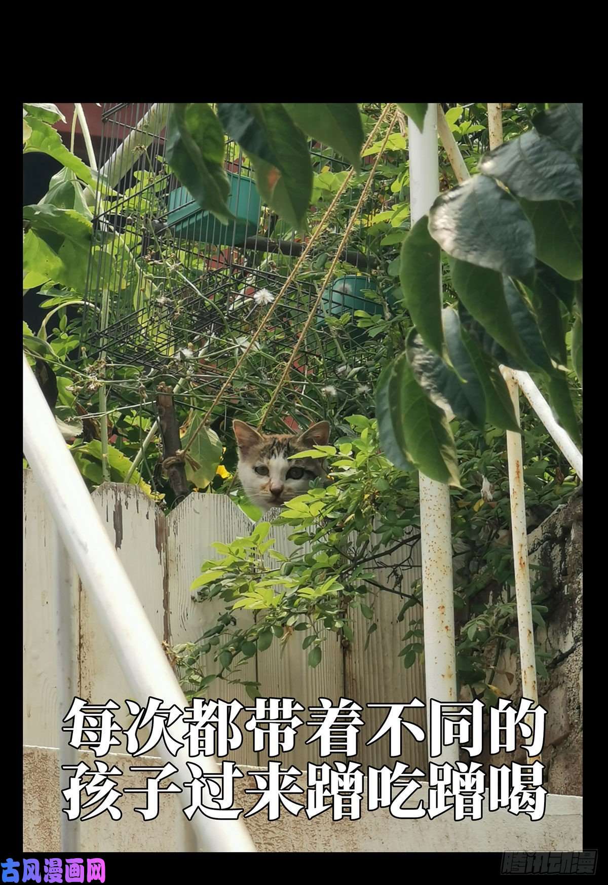 大象无形第六十六话病态中