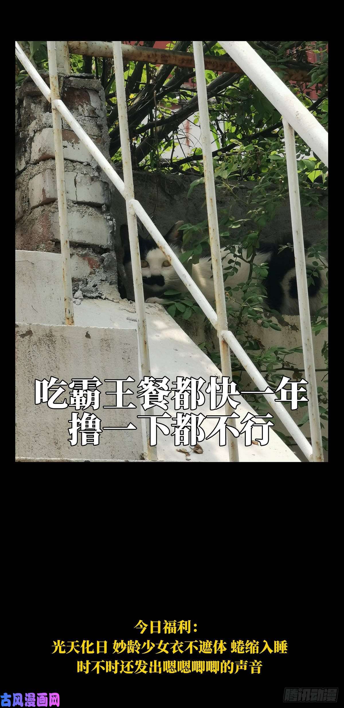 大象无形第六十六话病态中