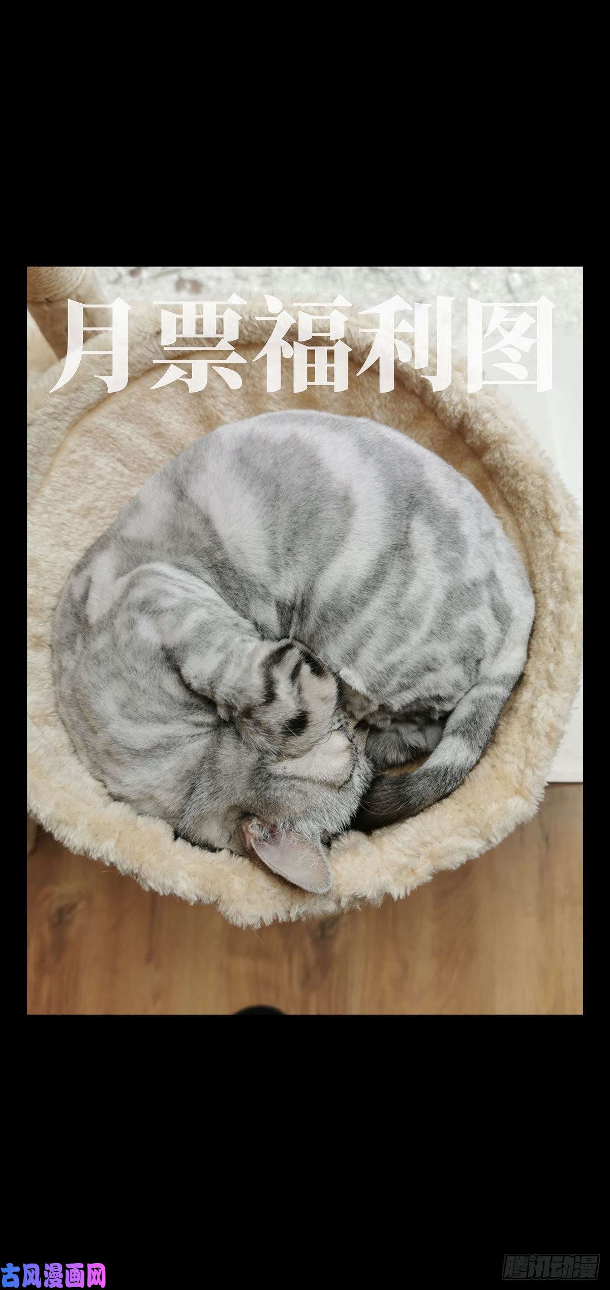 大象无形第六十六话病态中