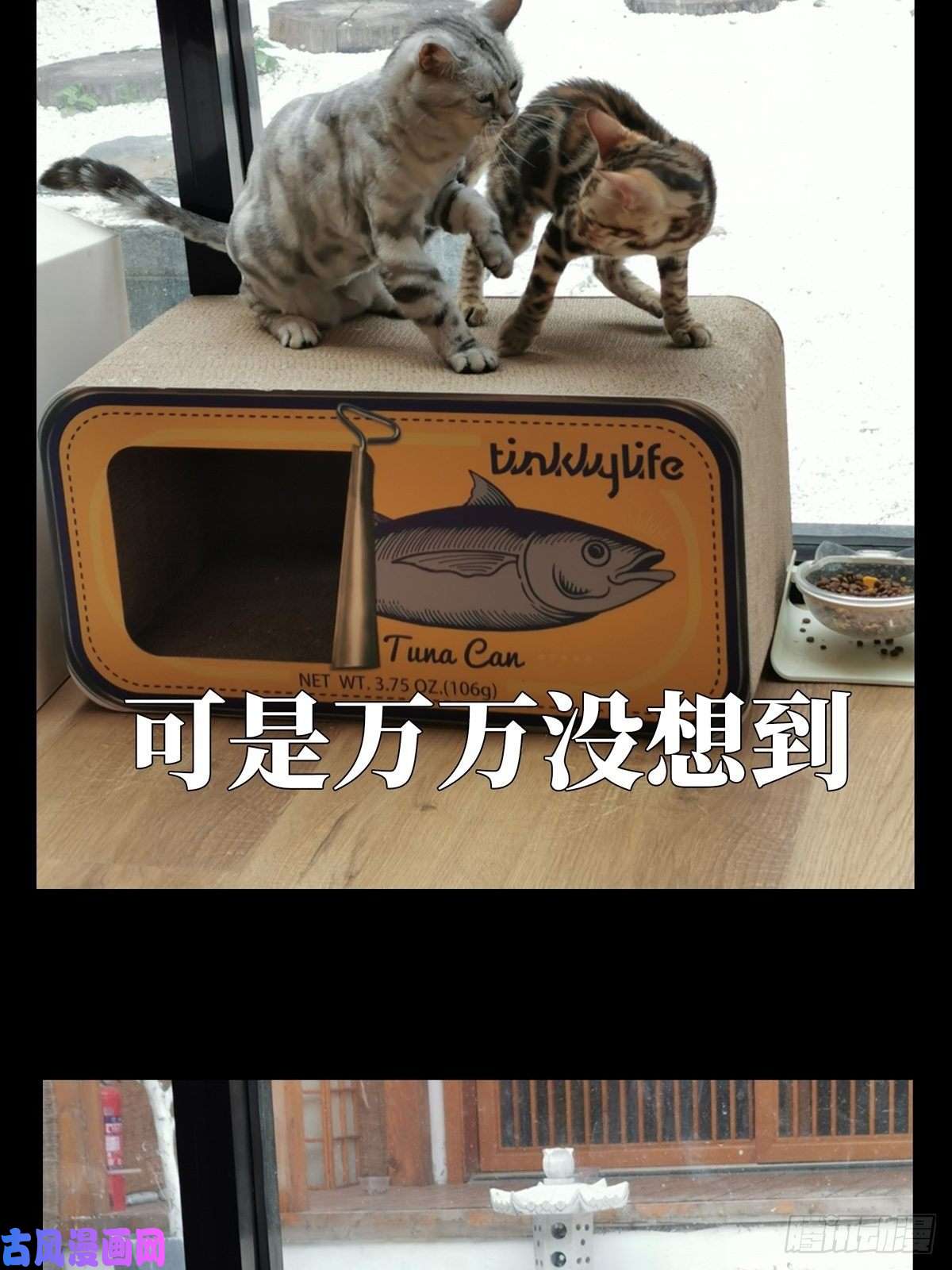 大象无形第六十七话病态下