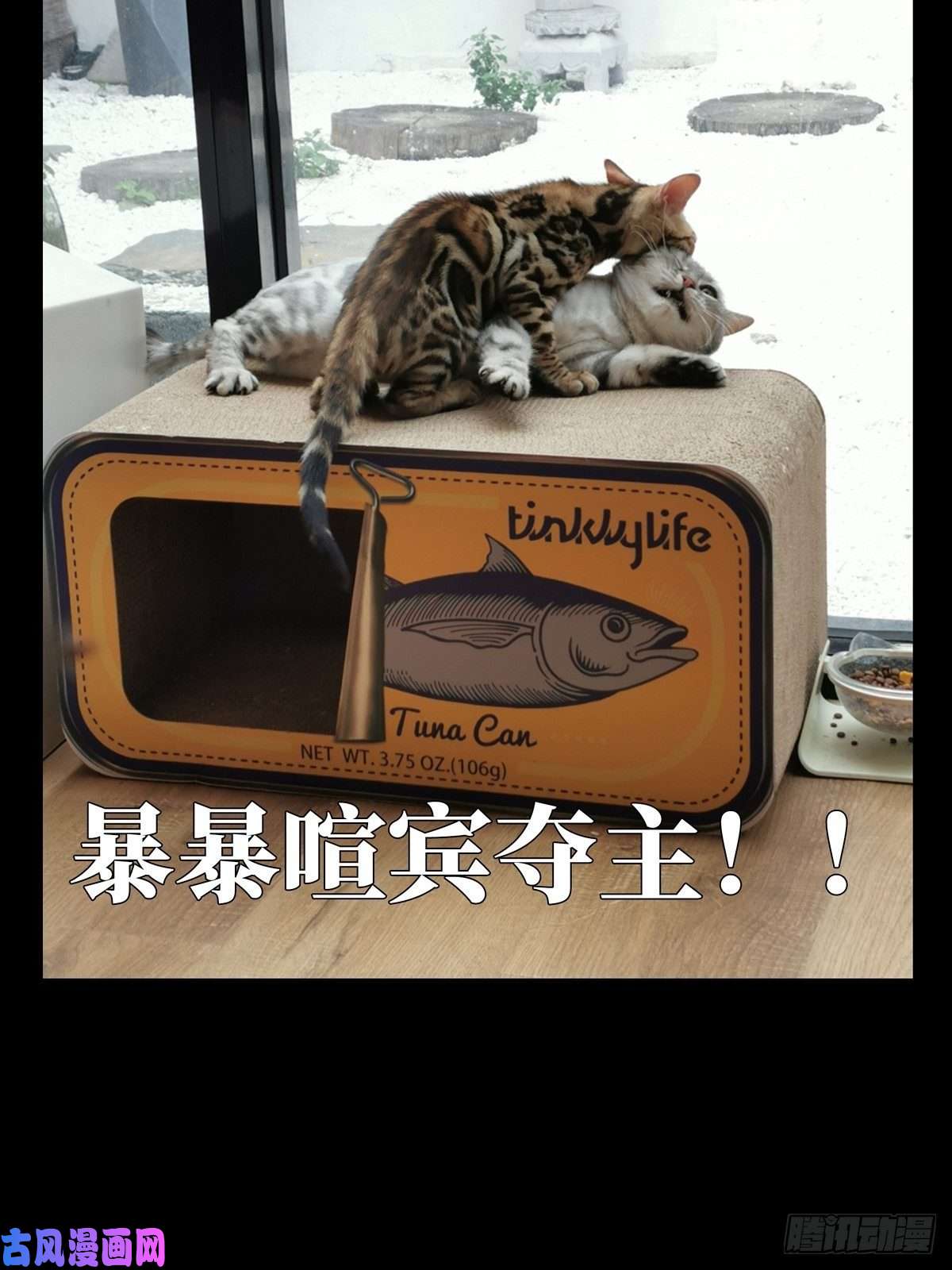 大象无形第六十七话病态下