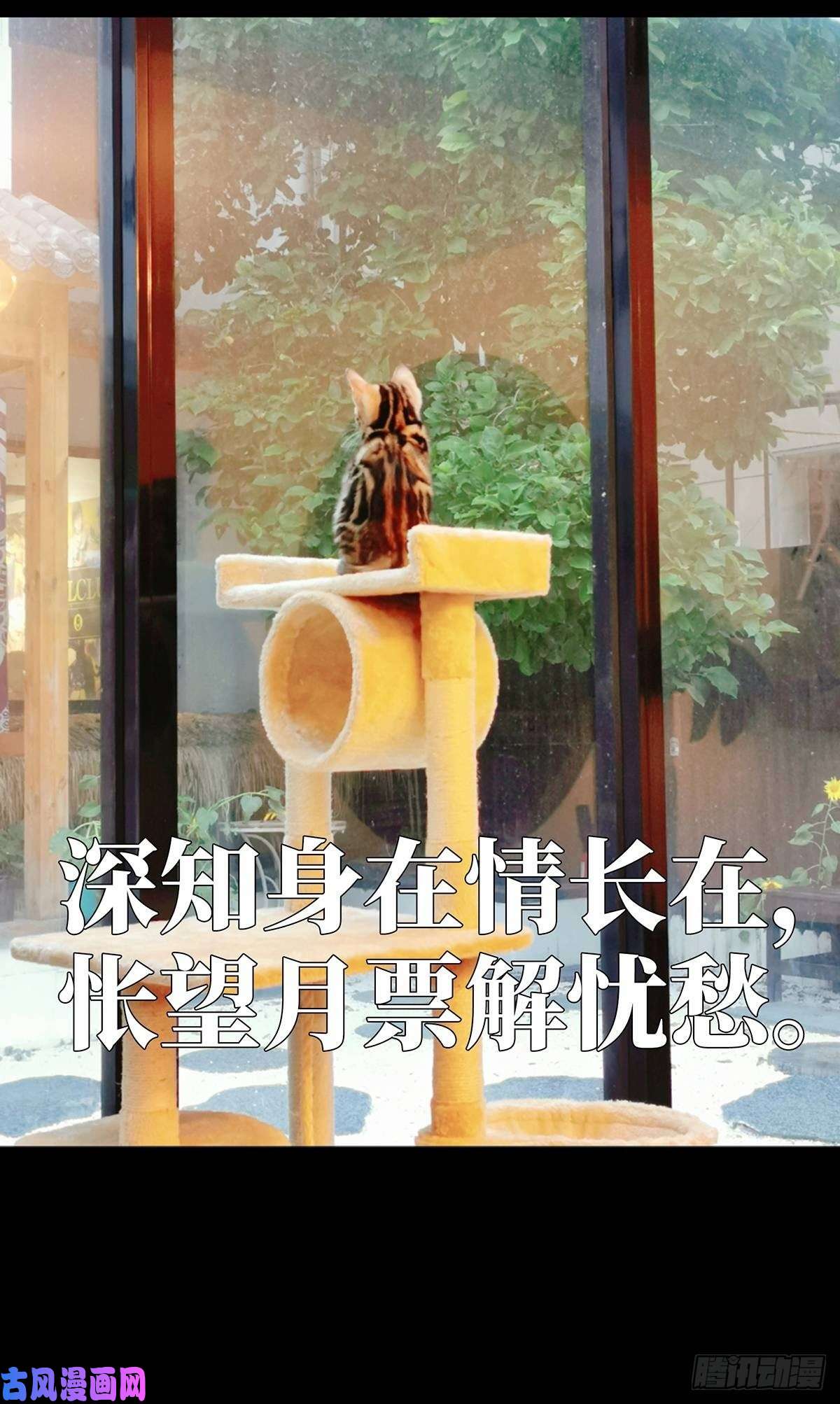 大象无形第六十八话至死不渝上