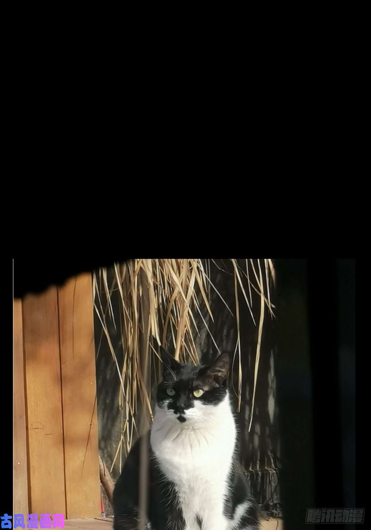 大象无形第六十九话至死不渝中