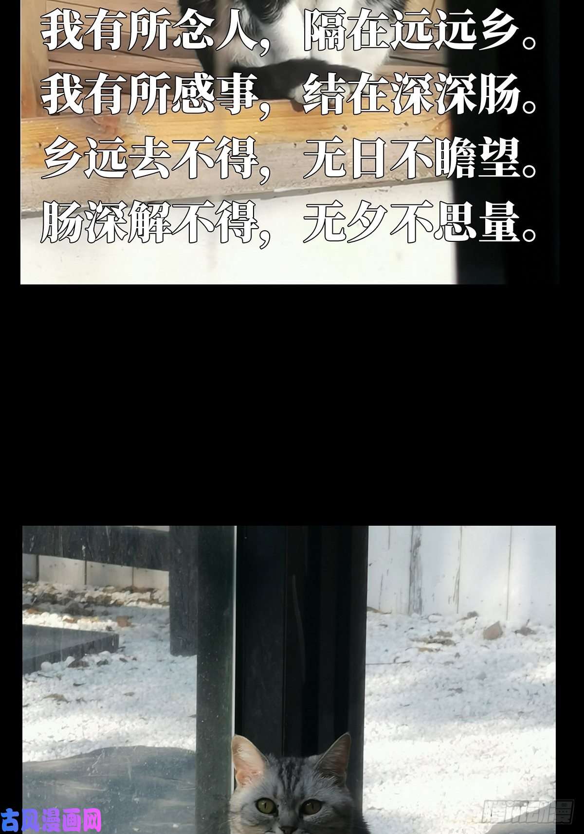 大象无形第六十九话至死不渝中