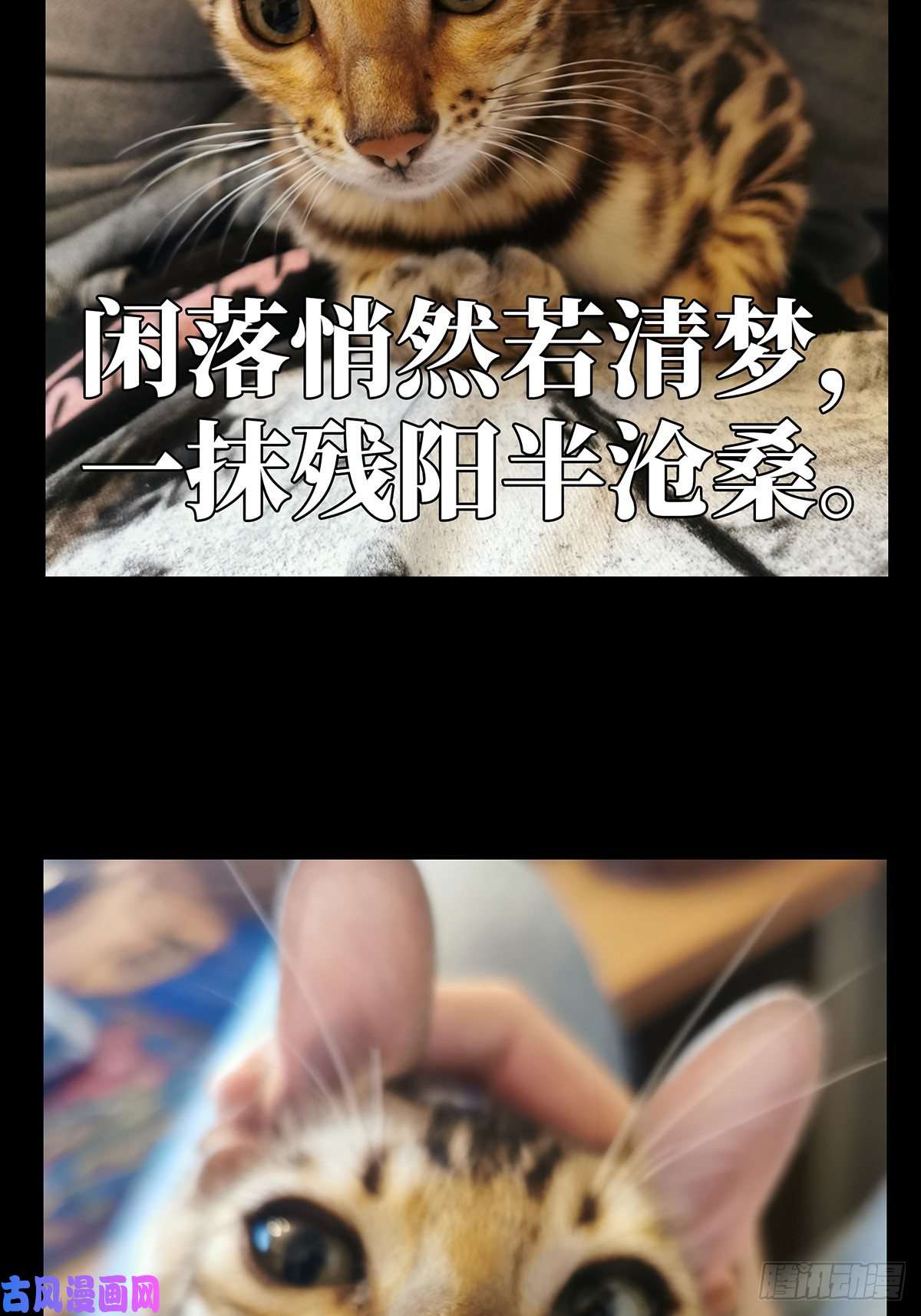大象无形第七十话至死不渝下