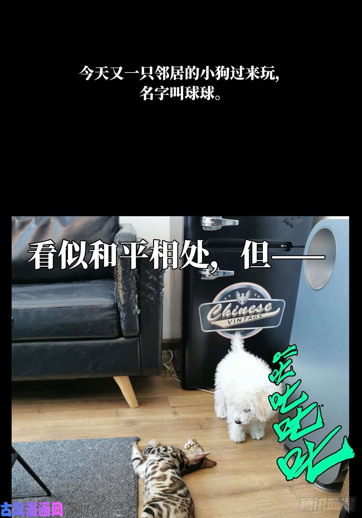 大象无形第七十二话她中