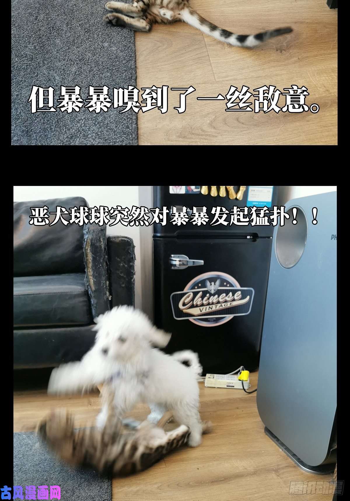 大象无形第七十二话她中