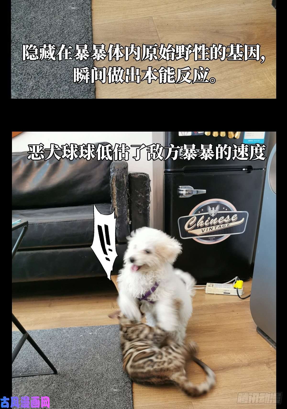 大象无形第七十二话她中
