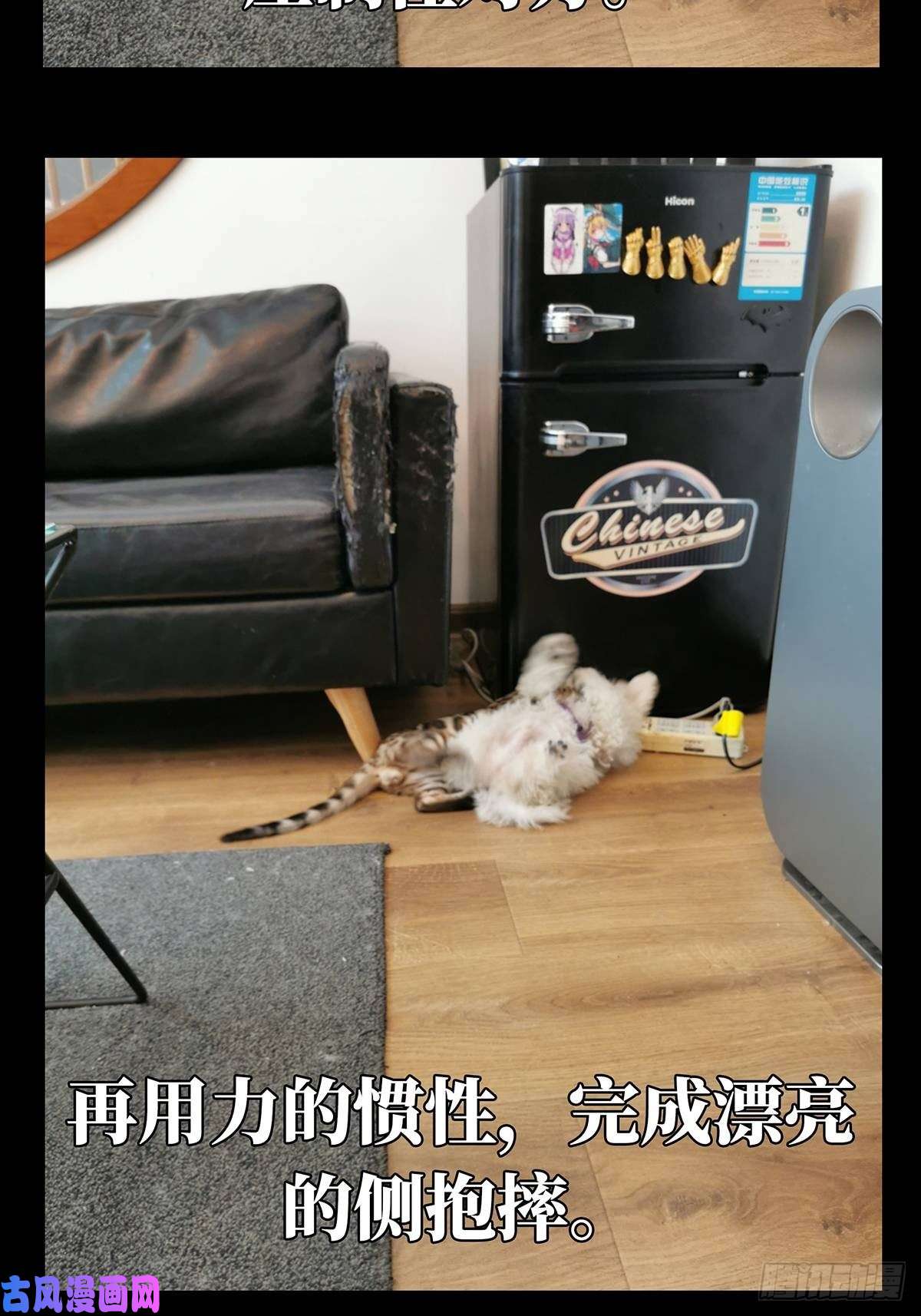 大象无形第七十二话她中