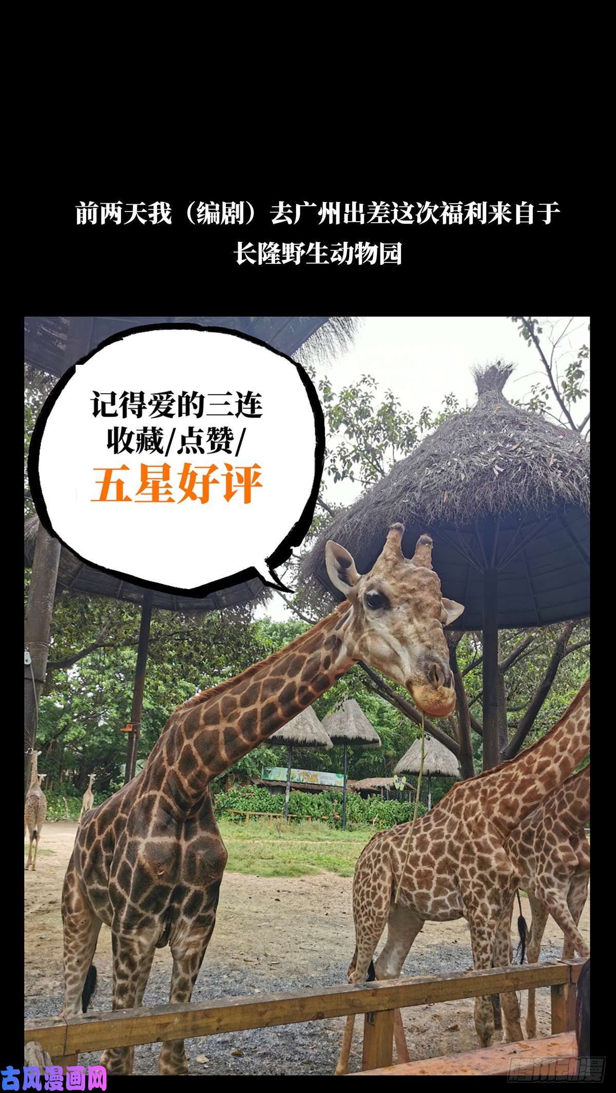 大象无形第七十四话真相上