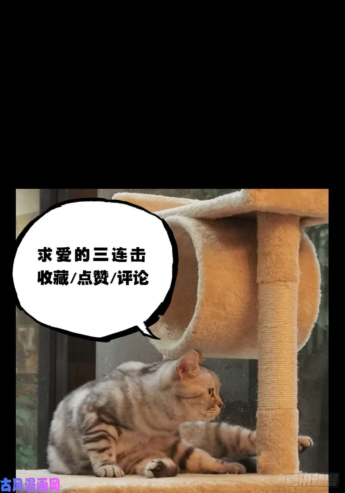 大象无形第七十五话真相中