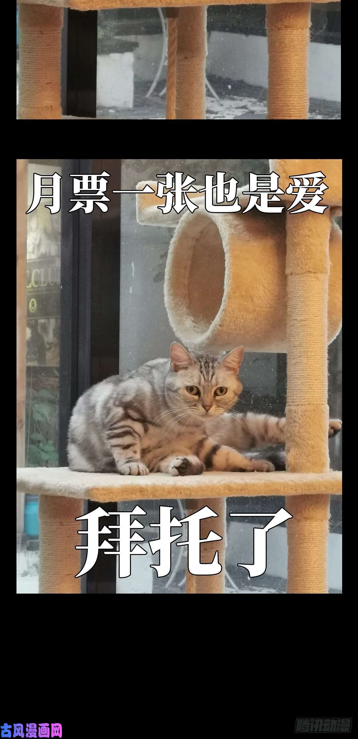 大象无形第七十五话真相中