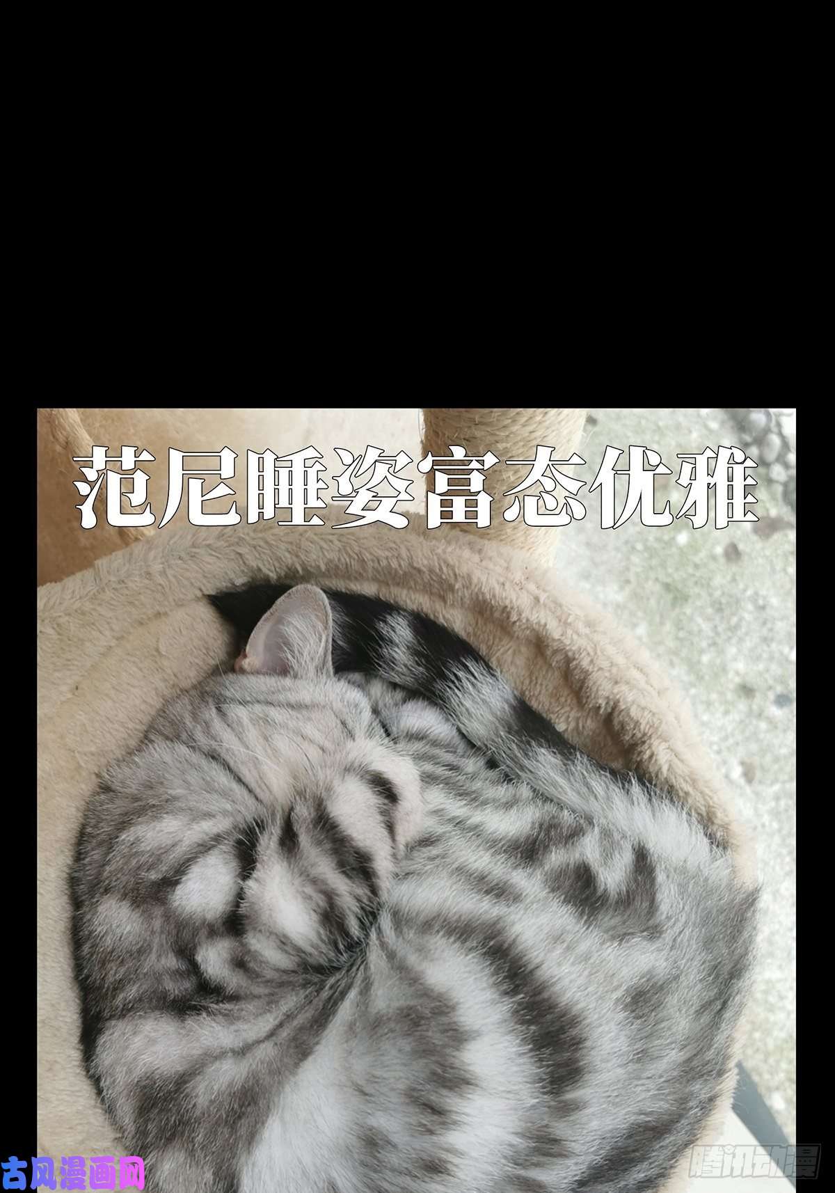 大象无形第七十八话同门对决中