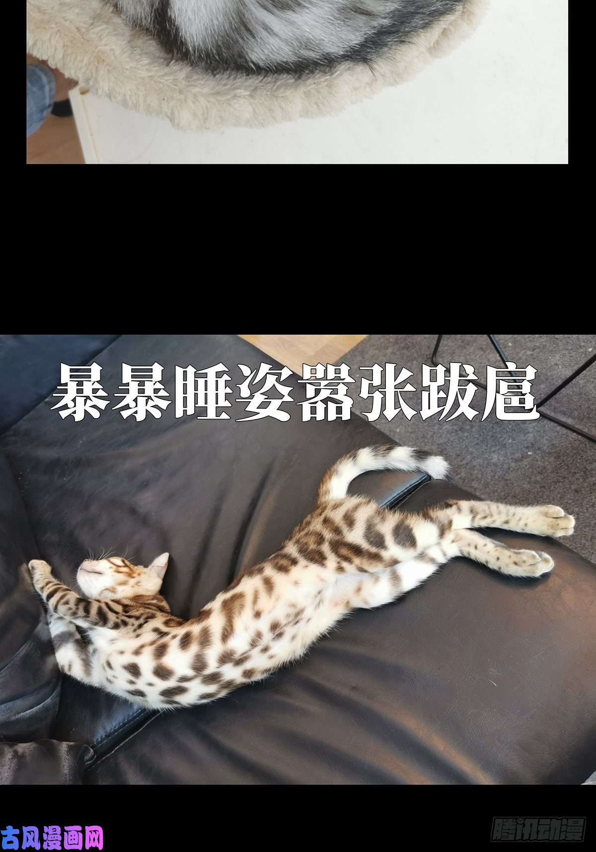 大象无形第七十八话同门对决中