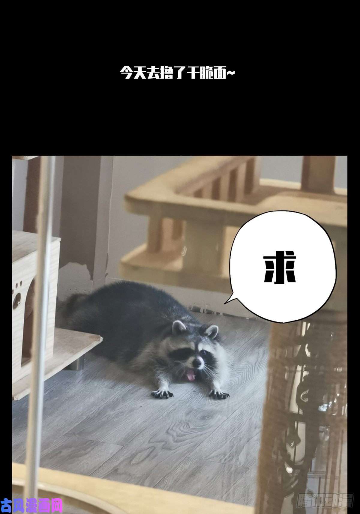 大象无形第八十五话神秘组织下