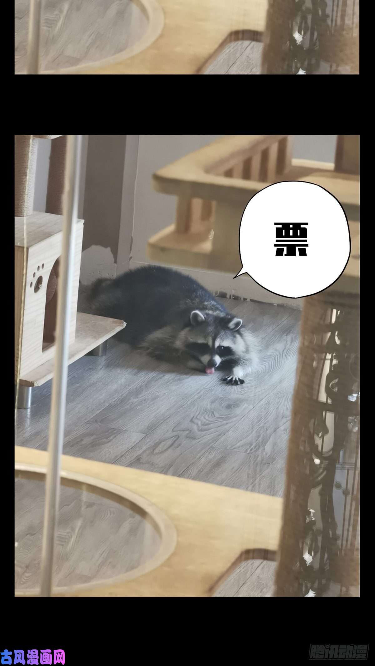 大象无形第八十五话神秘组织下