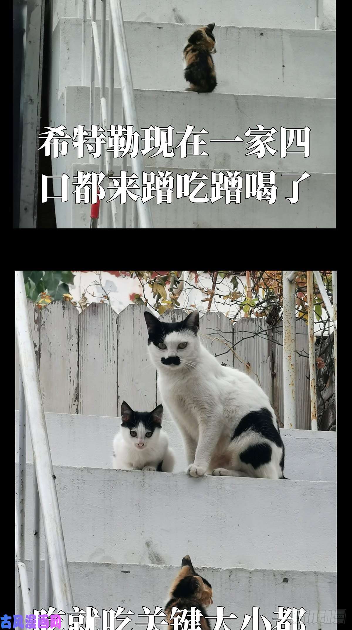 大象无形第八十九话君上上