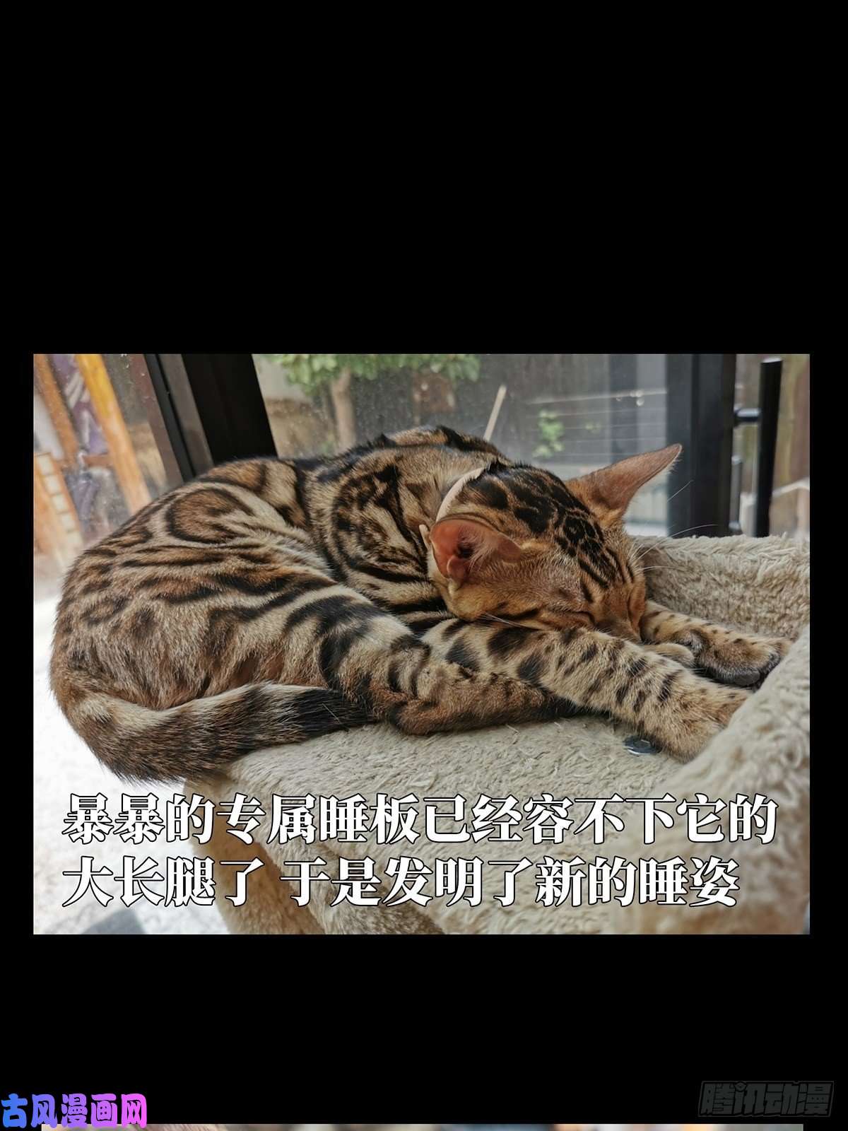 大象无形第九十话君上中