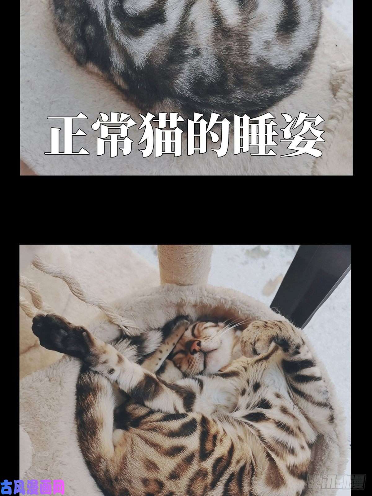 大象无形第九十五话灵息上