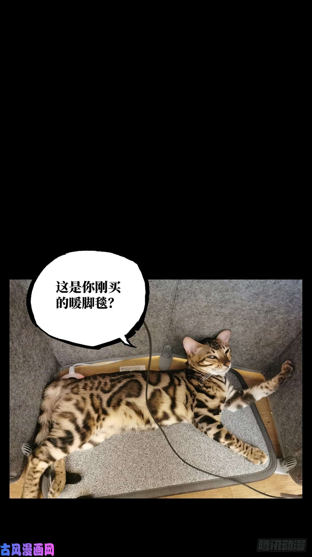 大象无形第九十八话赐教上