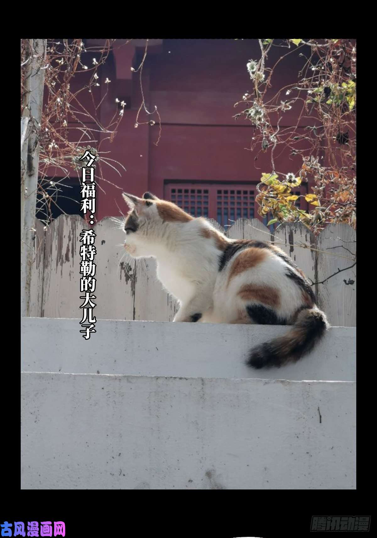 大象无形第九十九话赐教中