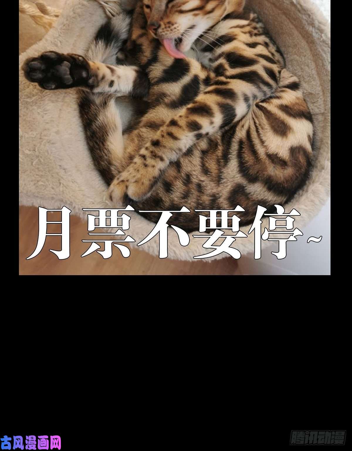 大象无形第一百一十一话封锁中